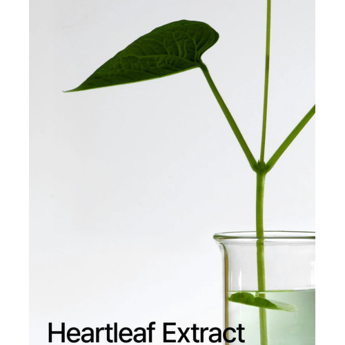 Anua Heartleaf Pore Control Cleansing Oil 200ml