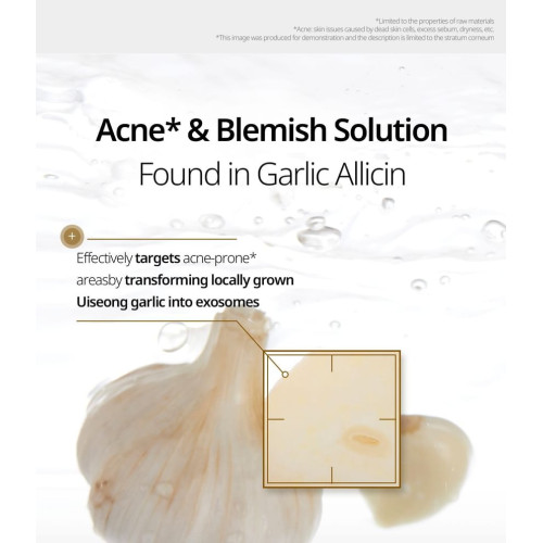 VT Cosmetics Garlic Ac Reedle Shot Spot Patch 48ks